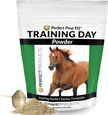Online PERFECT PRODUCTS Perfect Prep EQ™ Training Day™