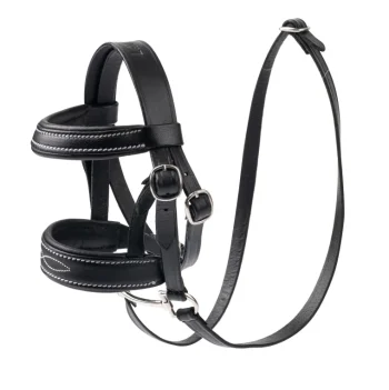 Best HORSE HEALTH TRADE Mini LeMieux® Pony Bridle