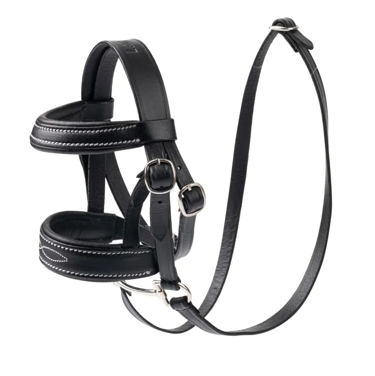 zzyXTHBd_0.webp Best HORSE HEALTH TRADE Mini LeMieux® Pony Bridle