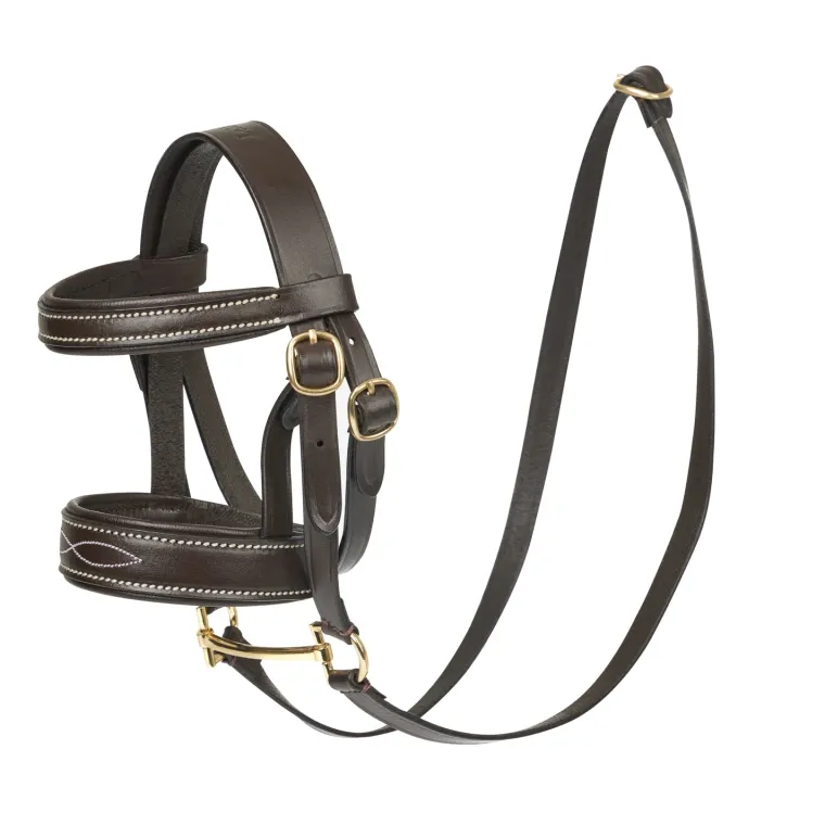 zzyXTHBd_2.webp Best HORSE HEALTH TRADE Mini LeMieux® Pony Bridle